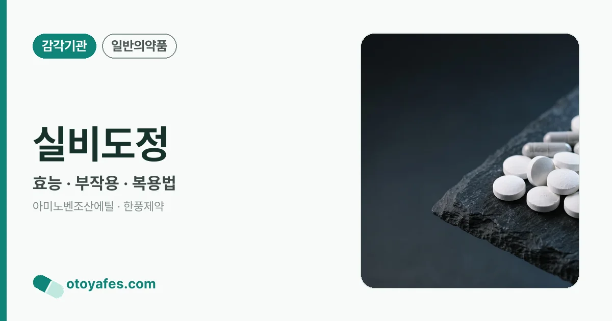 실비도정 정리 썸네일