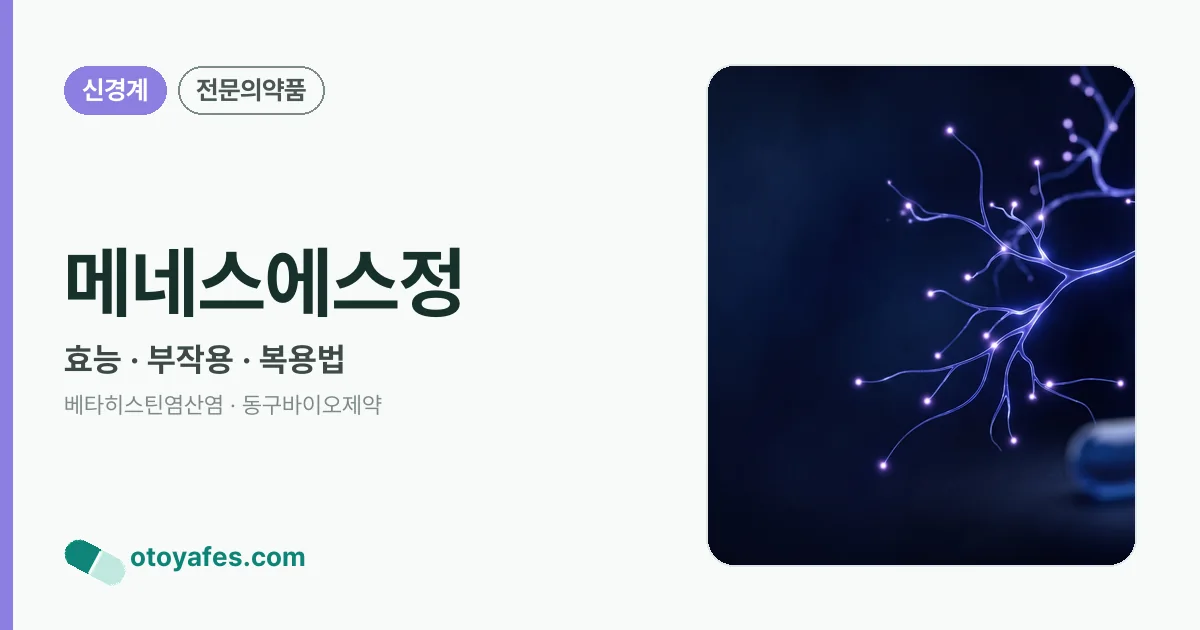 메네스에스정 정리 썸네일