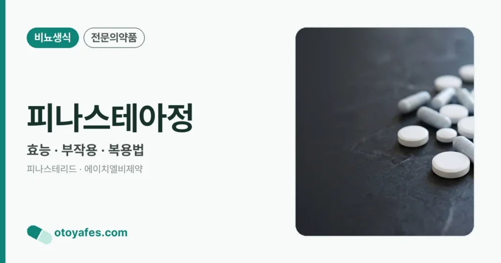 피나스테아정 정리 썸네일