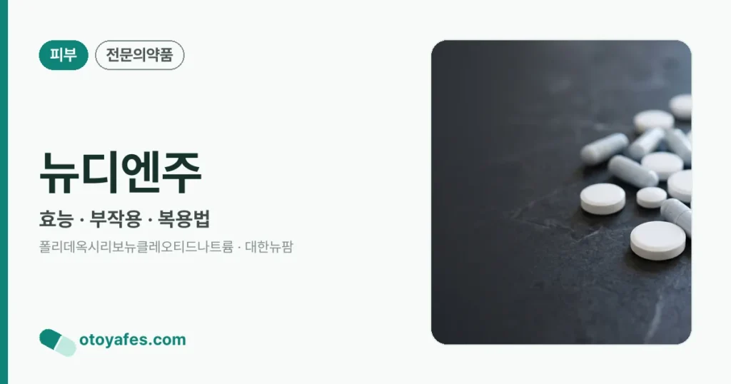 뉴디엔주 정리 썸네일