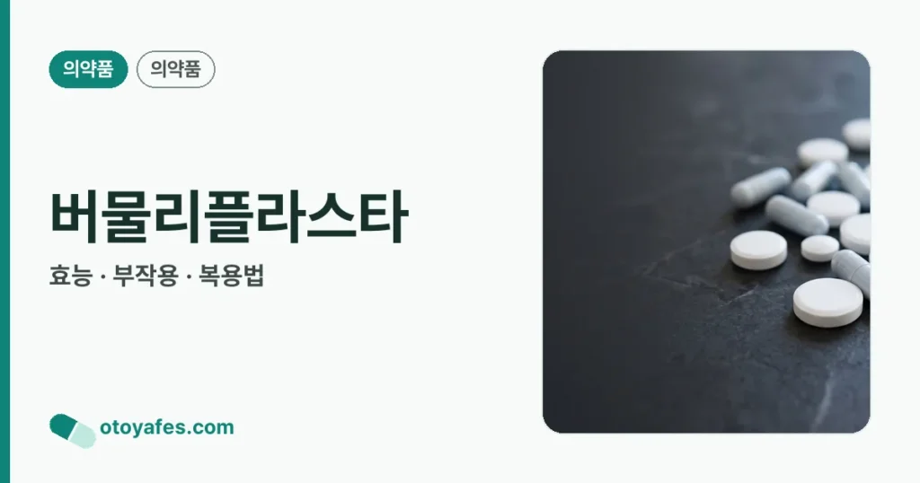 버물리플라스타 정리 썸네일