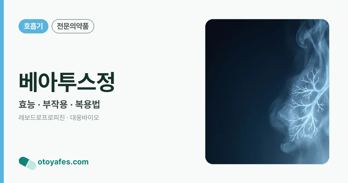 베아투스정 정리 썸네일