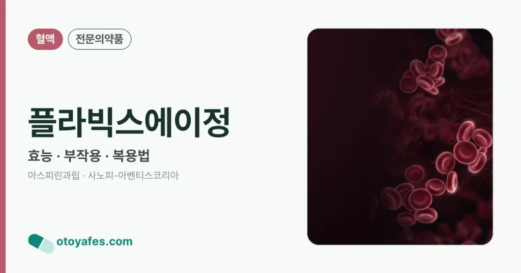 플라빅스에이정 정리 썸네일