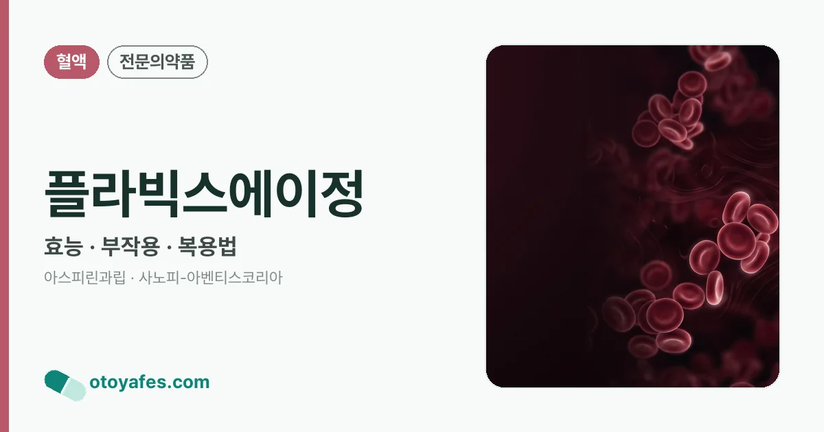 플라빅스에이정 정리 썸네일