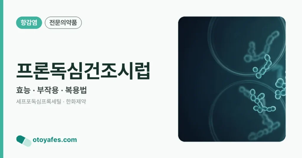 프론독심건조시럽 정리 썸네일