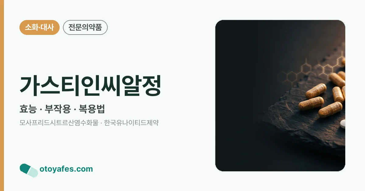 가스티인씨알정 정리 썸네일