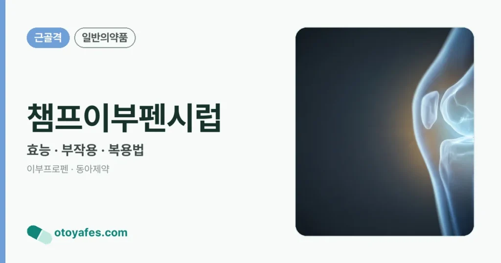 챔프이부펜시럽 정리 썸네일