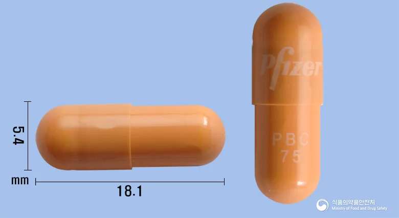 입랜스캡슐75mg 실물 사진