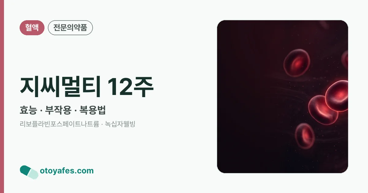 지씨멀티 12주 정리 썸네일