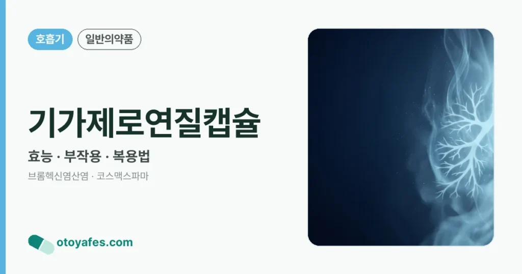 기가제로연질캡슐 정리 썸네일
