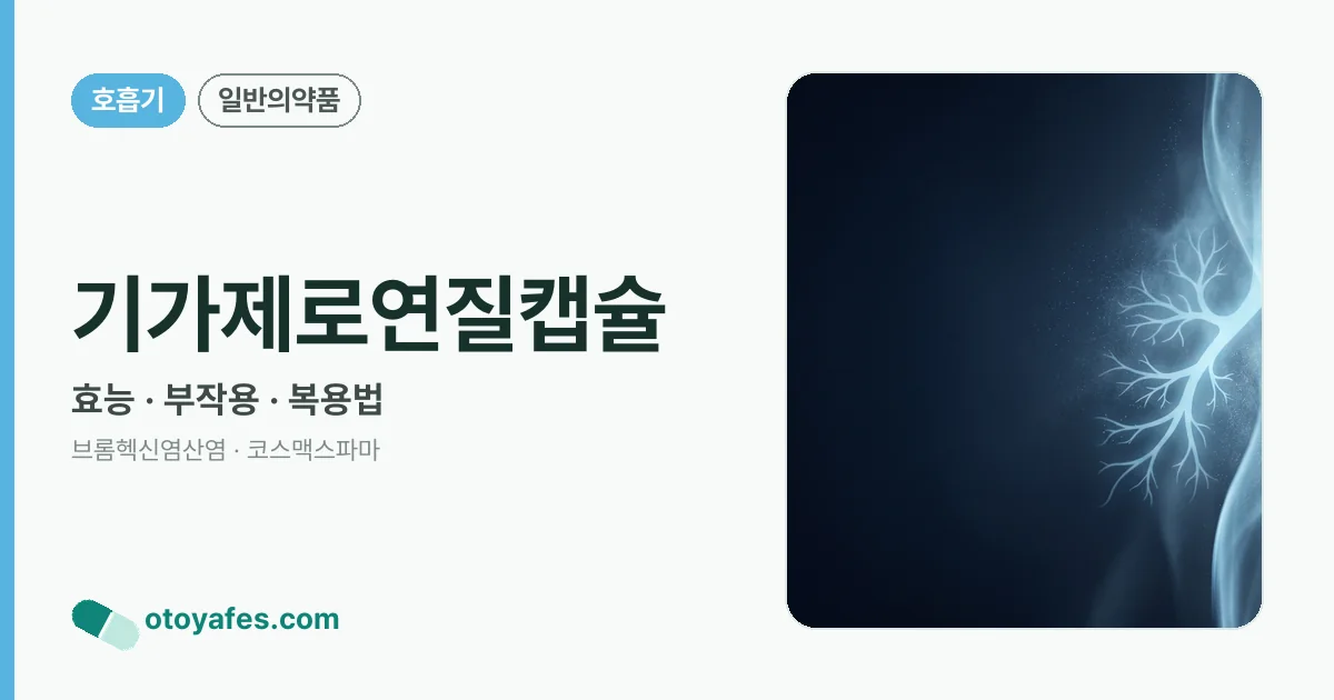 기가제로연질캡슐 정리 썸네일