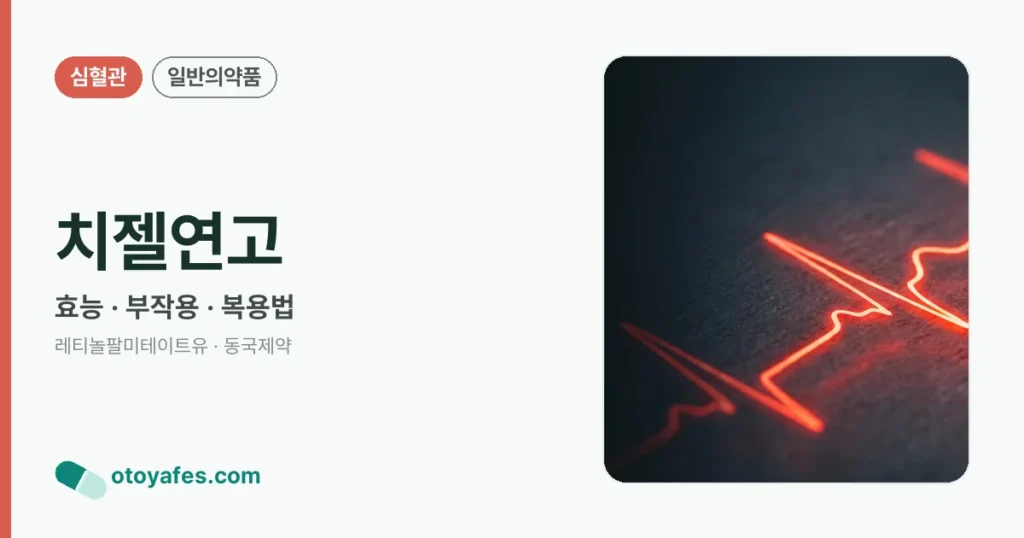 치젤연고 정리 썸네일