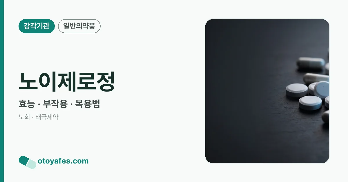 노이제로정 정리 썸네일