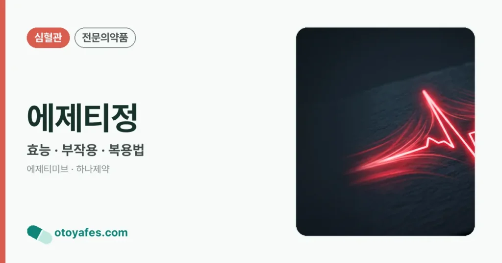 에제티정 정리 썸네일