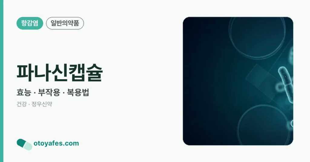 파나신캡슐 정리 썸네일