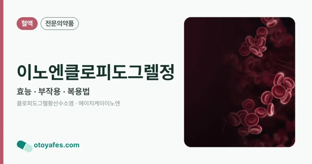 이노엔클로피도그렐정 정리 썸네일