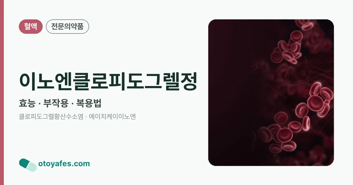 이노엔클로피도그렐정 정리 썸네일