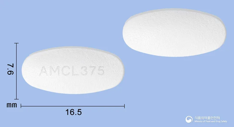 아목시클라정375mg 실물 사진