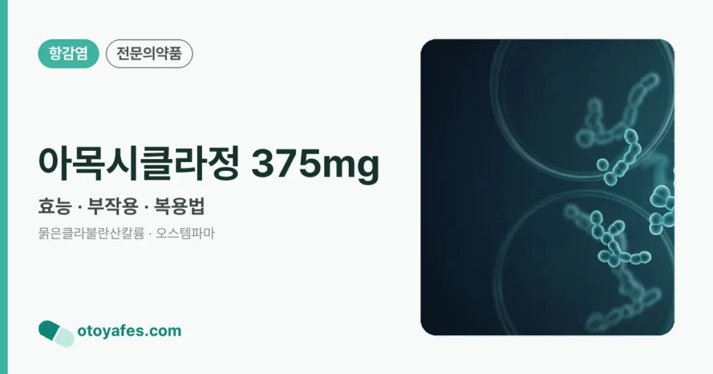 아목시클라정 375mg 정리 썸네일