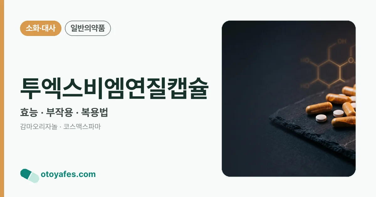 투엑스비엠연질캡슐 정리 썸네일