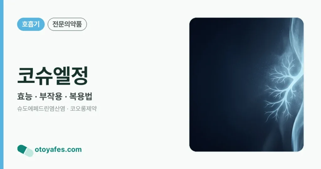 코슈엘정 정리 썸네일
