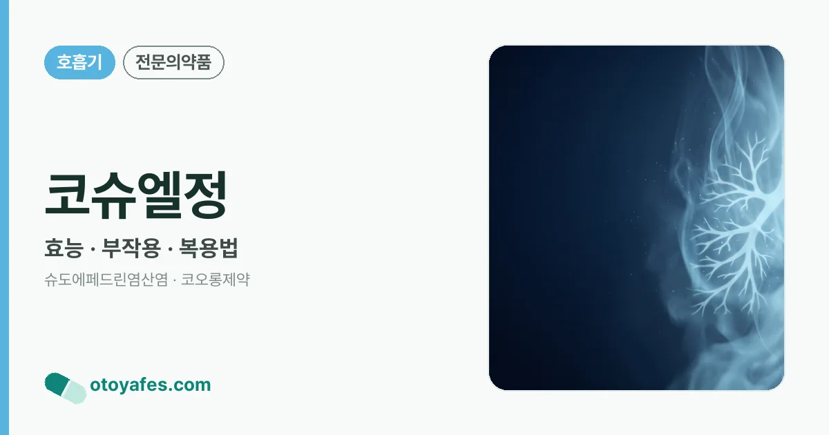 코슈엘정 정리 썸네일