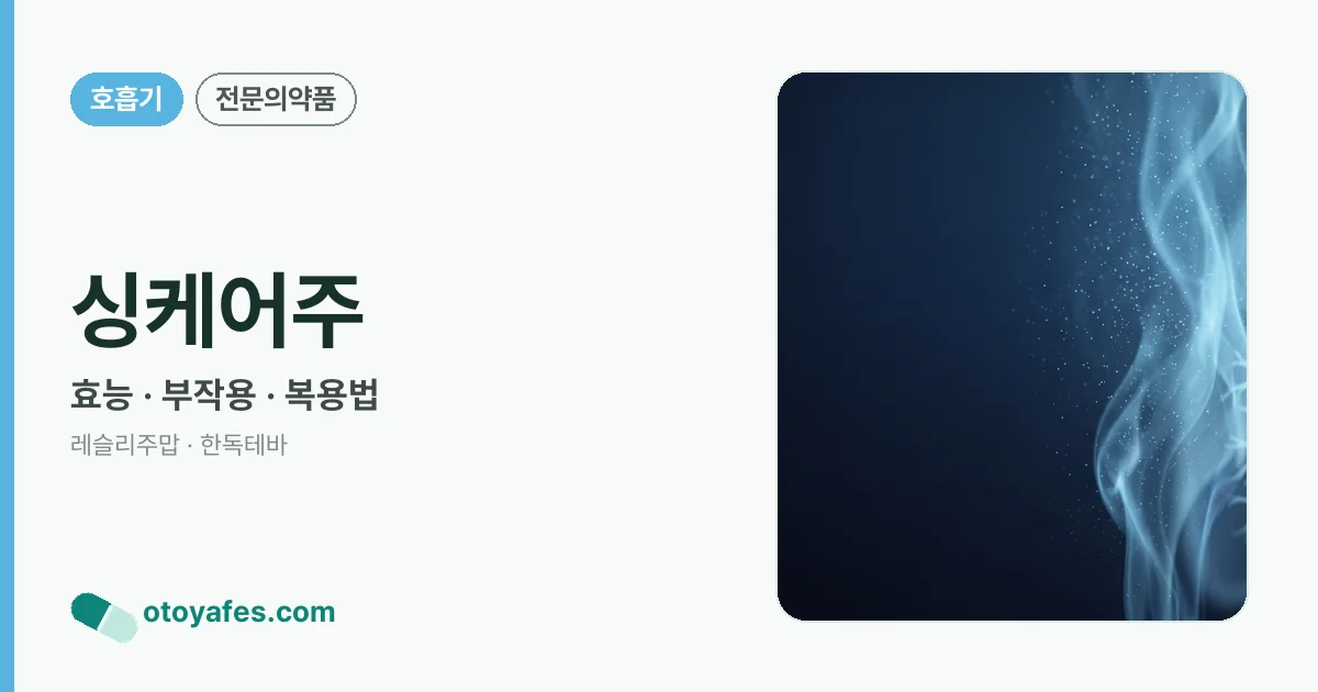 싱케어주 정리 썸네일