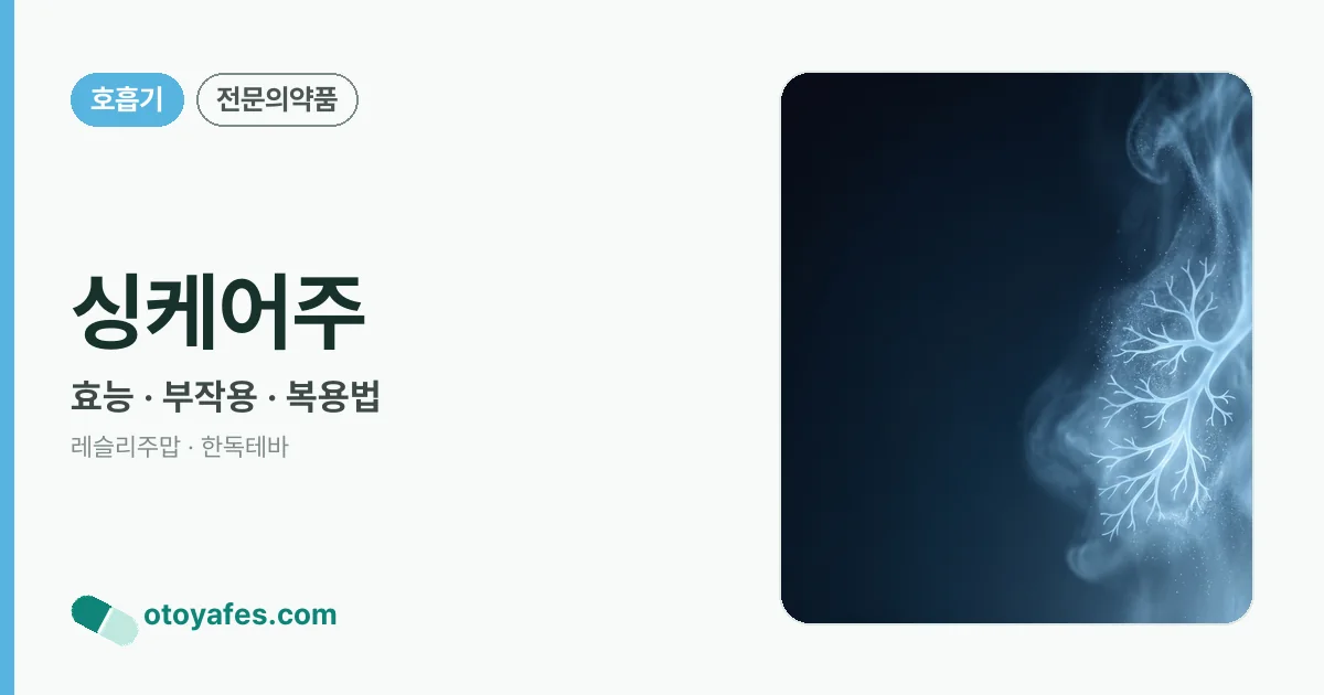 싱케어주 정리 썸네일