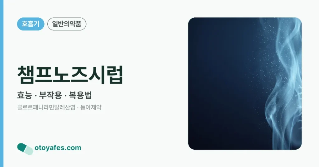 챔프노즈시럽 정리 썸네일