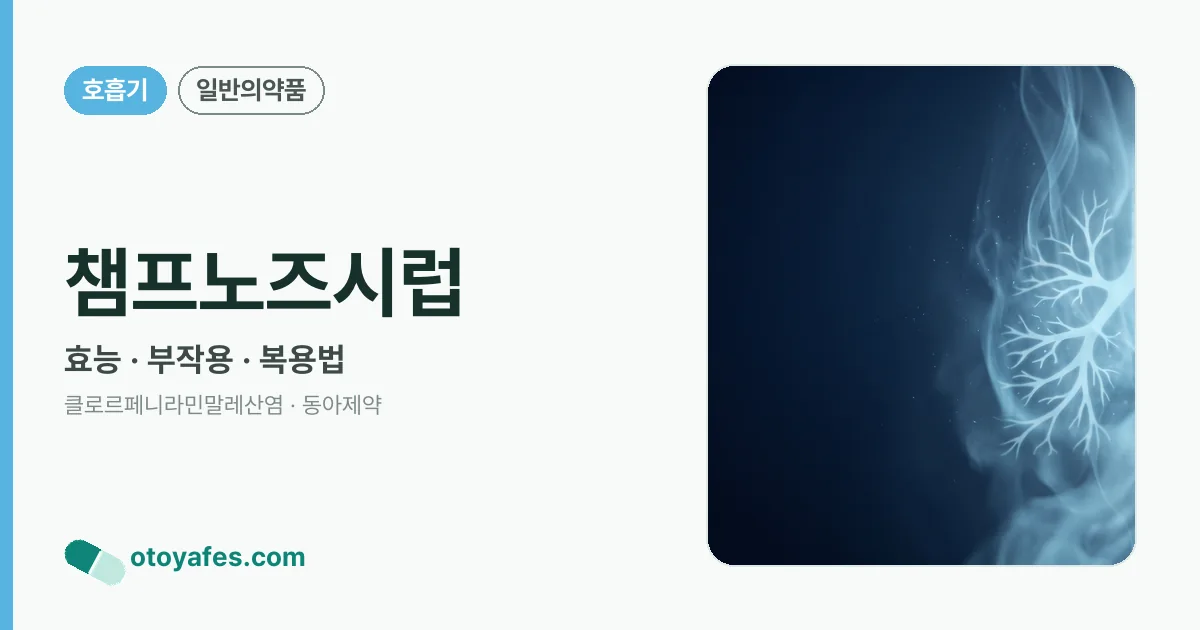 챔프노즈시럽 정리 썸네일