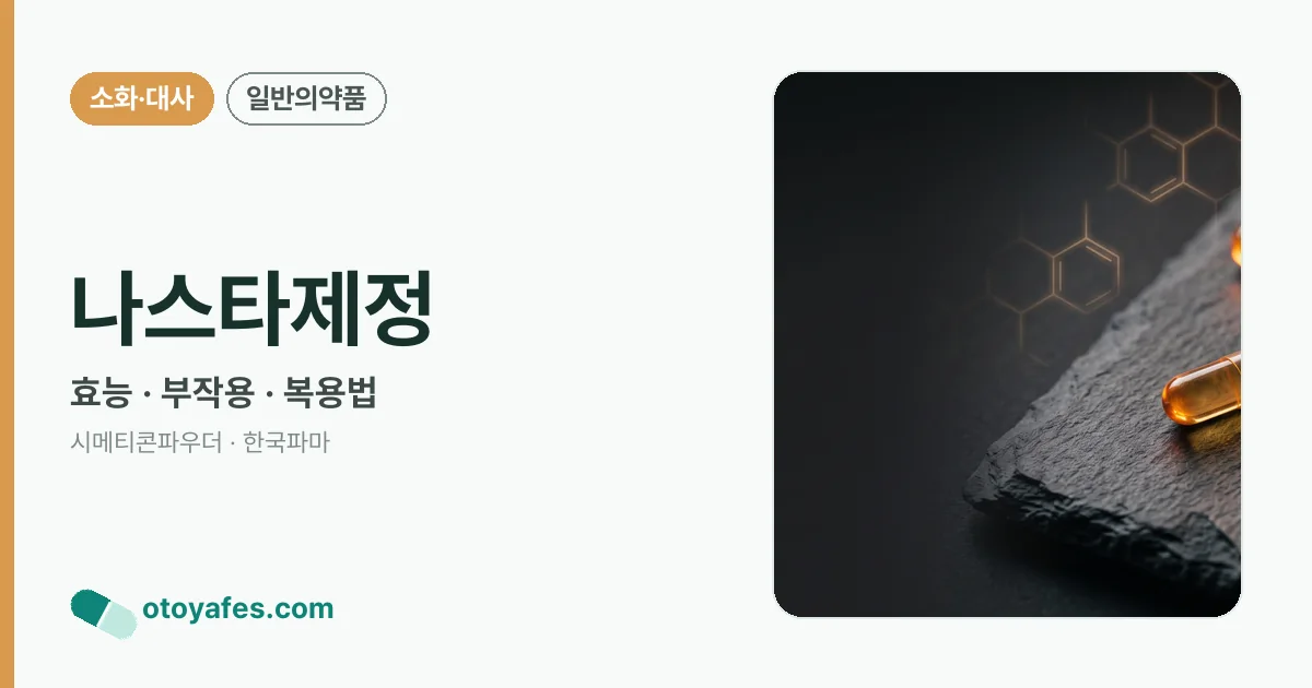 나스타제정 정리 썸네일