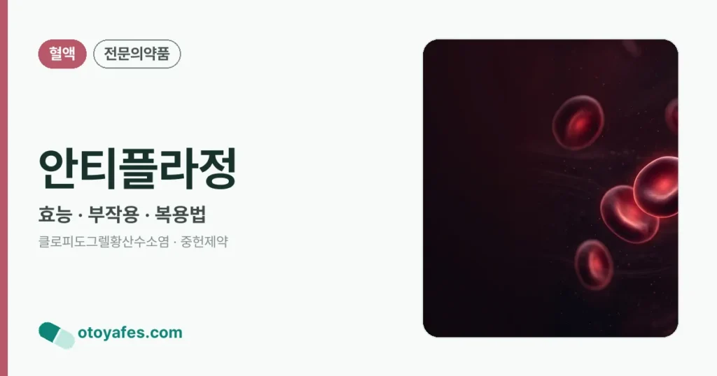안티플라정 정리 썸네일