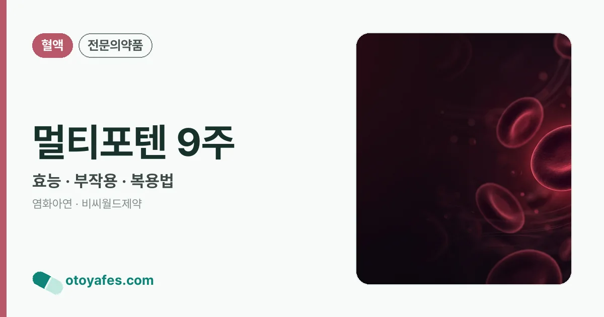 멀티포텐 9주 정리 썸네일