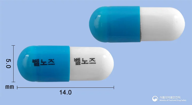 벨노즈캡슐 실물 사진