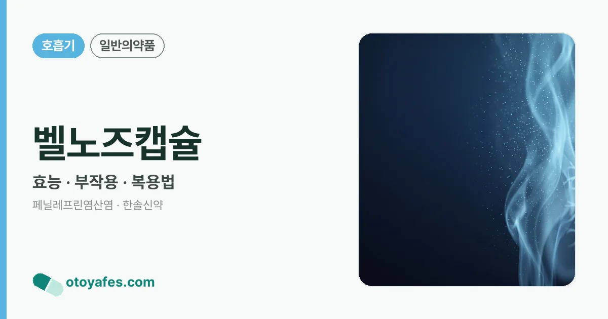 벨노즈캡슐 정리 썸네일