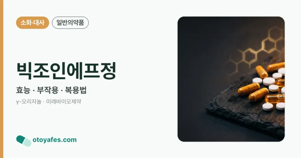 빅조인에프정 정리 썸네일