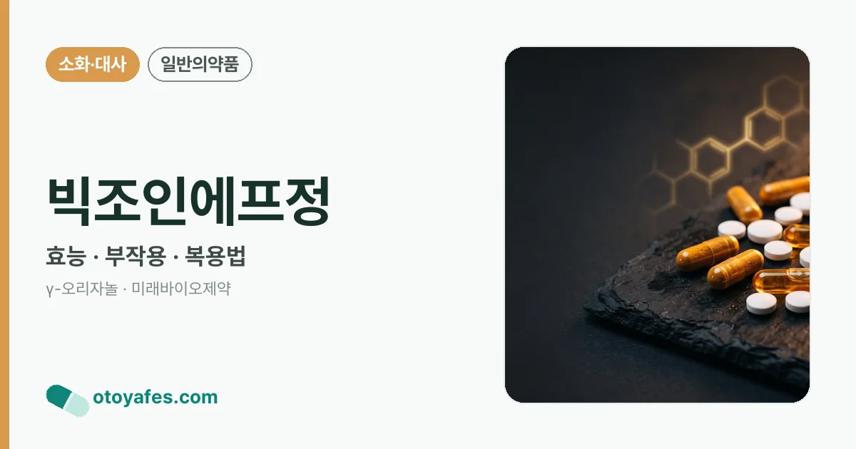 빅조인에프정 정리 썸네일