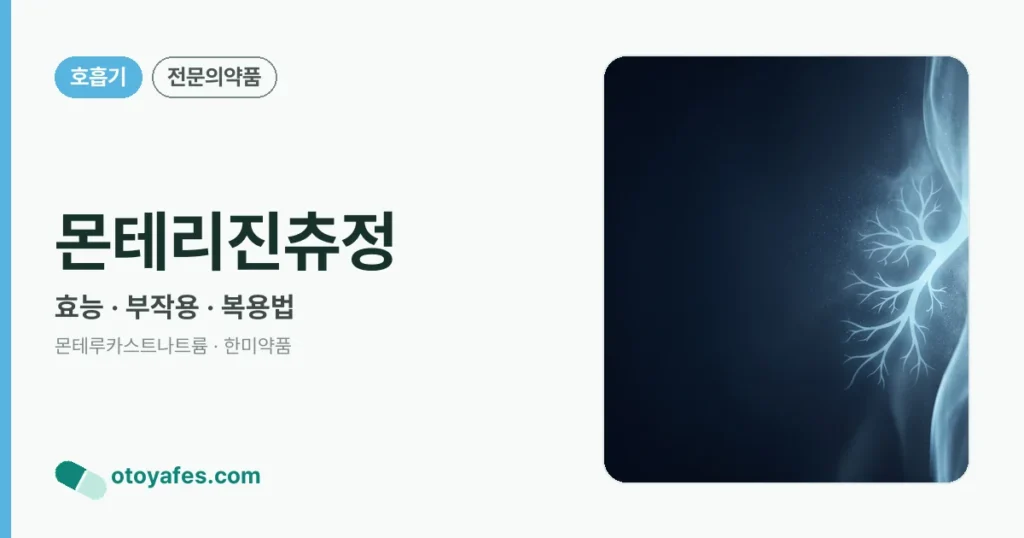 몬테리진츄정 정리 썸네일