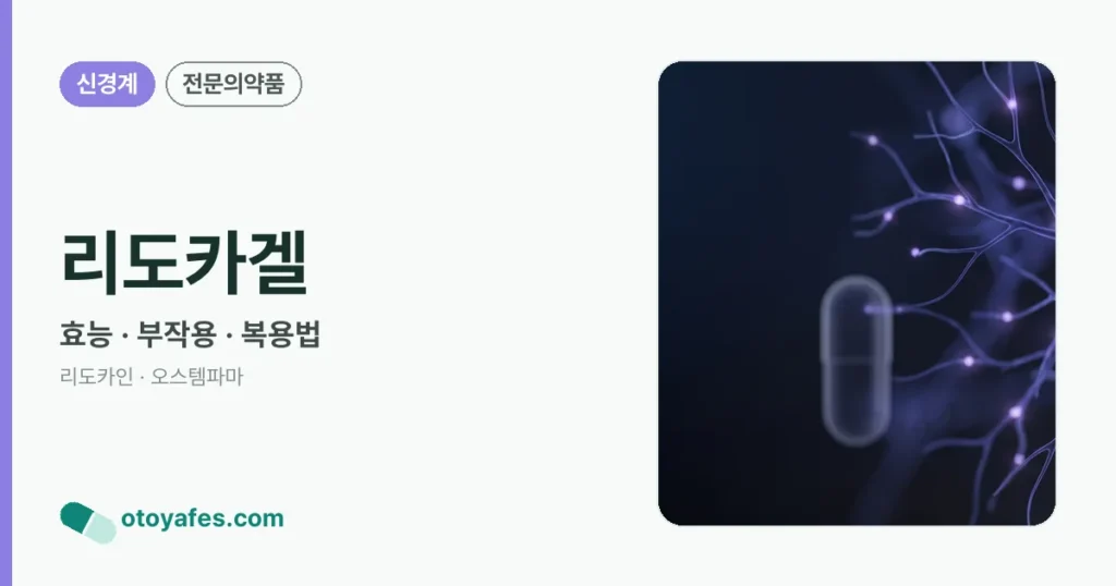 리도카겔 정리 썸네일