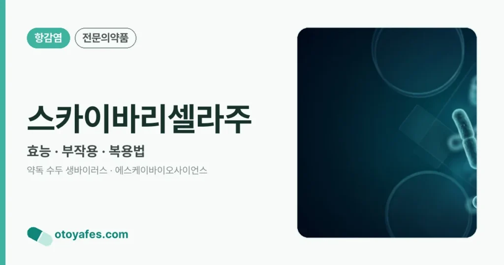 스카이바리셀라주 정리 썸네일