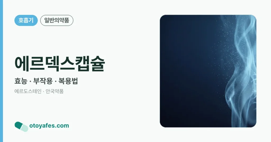 에르덱스캡슐 정리 썸네일
