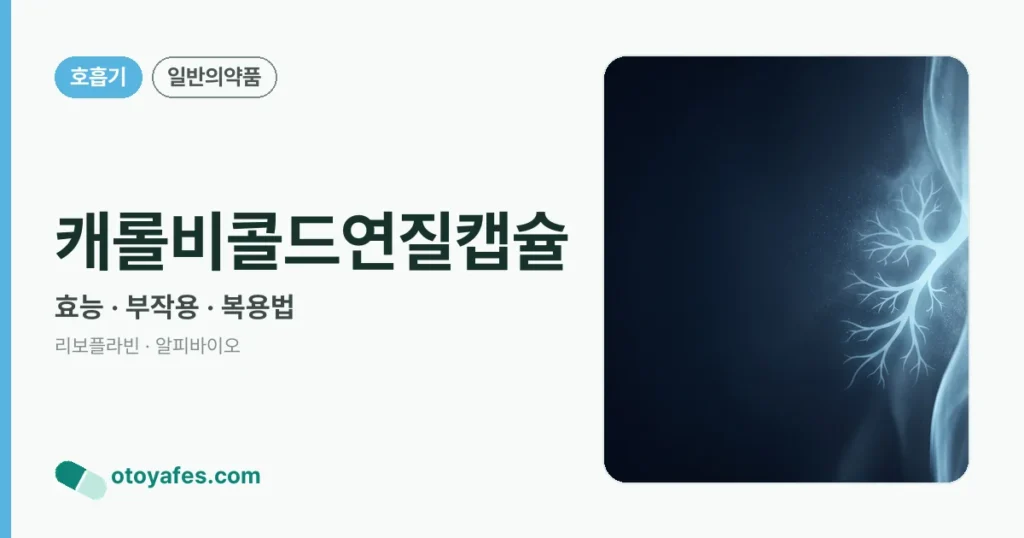 캐롤비콜드연질캡슐 정리 썸네일