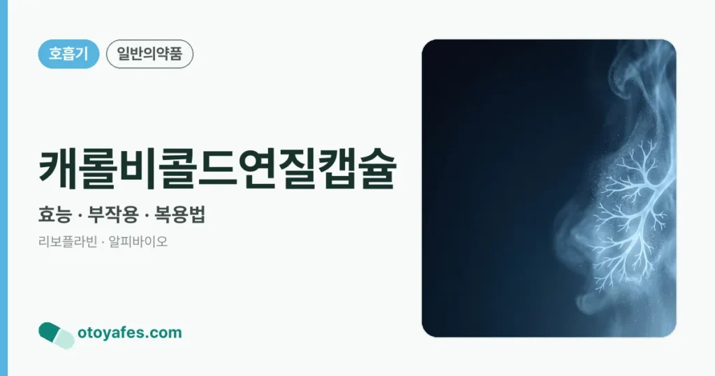캐롤비콜드연질캡슐 정리 썸네일