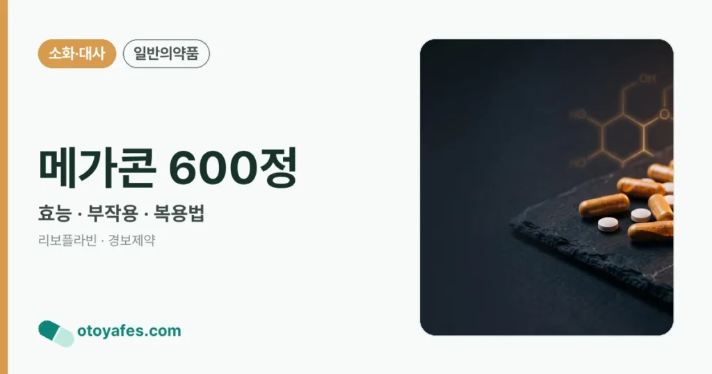 메가콘 600정 정리 썸네일