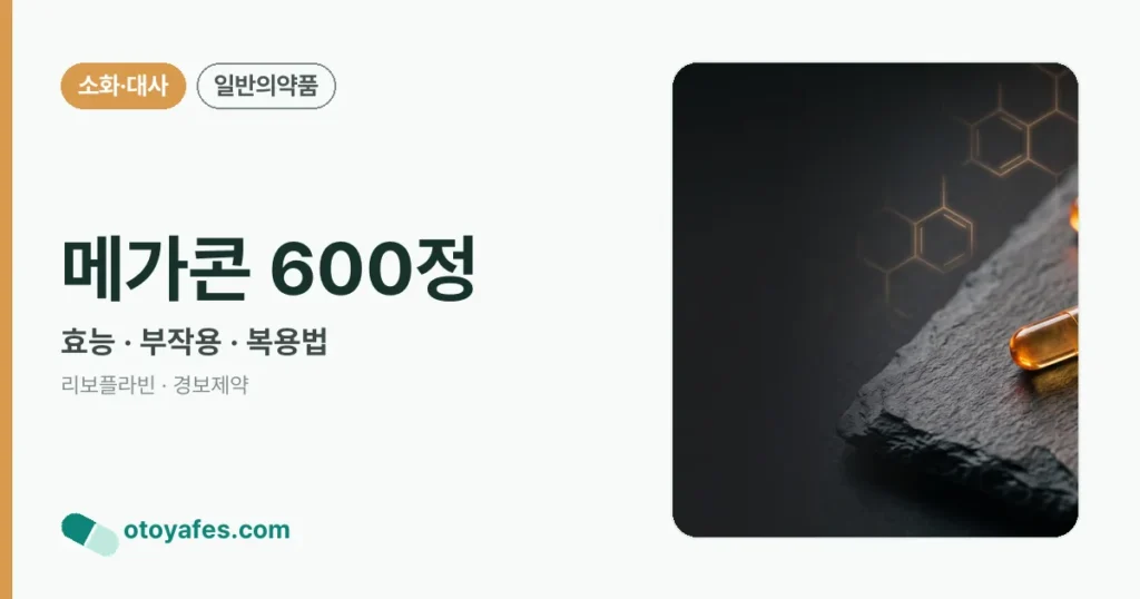 메가콘 600정 정리 썸네일