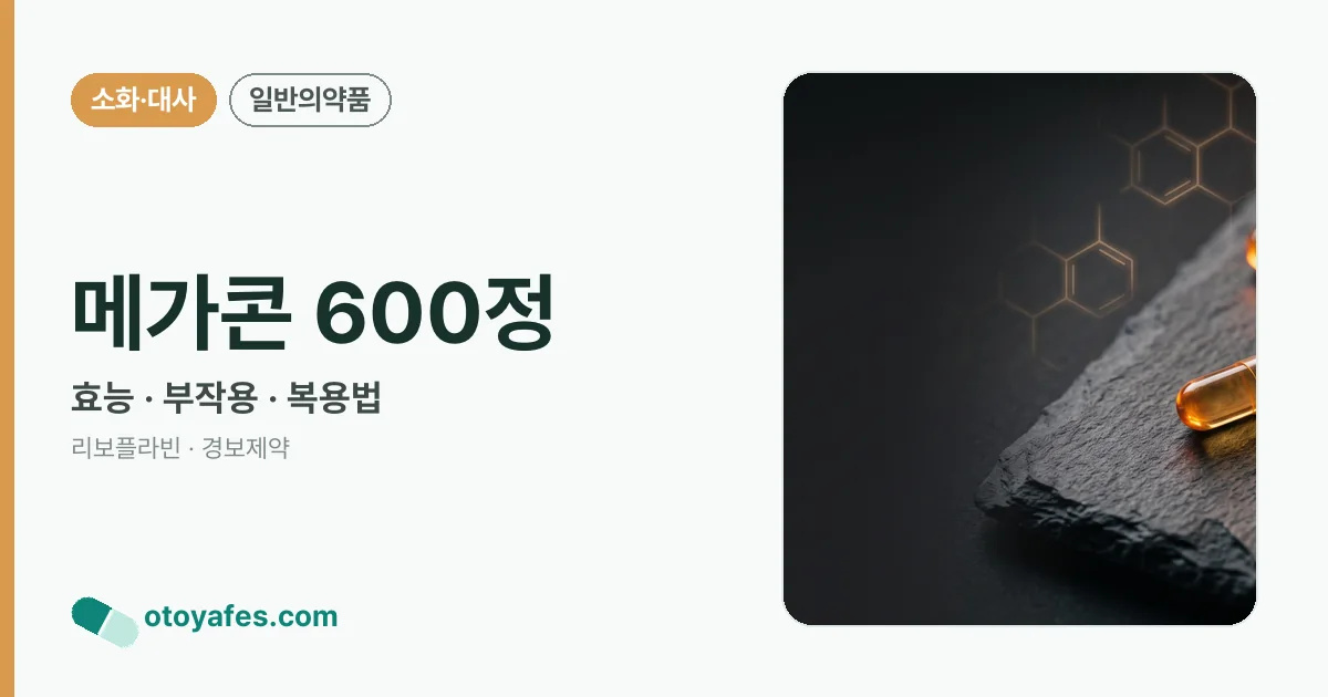 메가콘 600정 정리 썸네일
