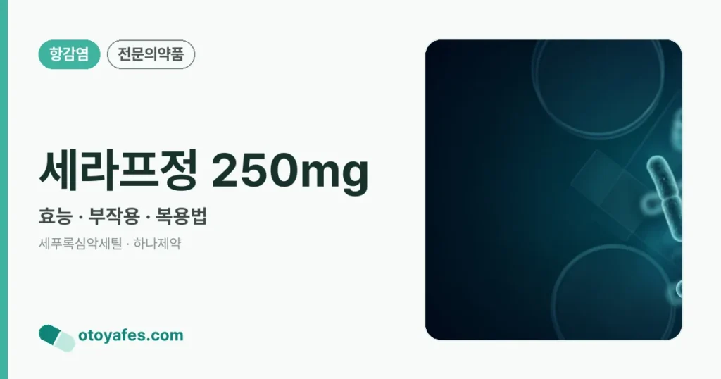 세라프정 250mg 정리 썸네일