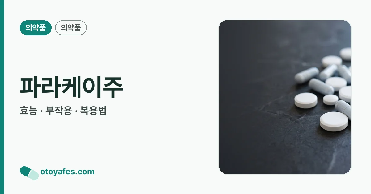 파라케이주 정리 썸네일
