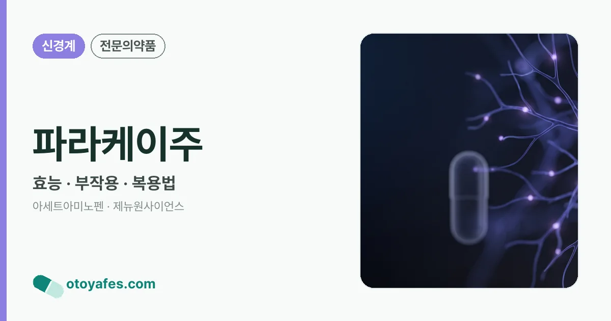 파라케이주 정리 썸네일