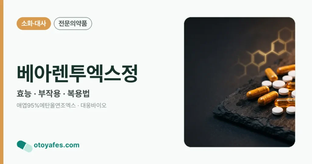 베아렌투엑스정 정리 썸네일